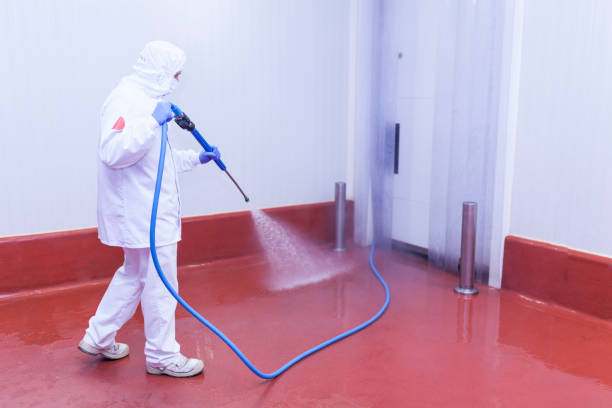 Professional Pressure Washing Services in Pleasantville, IA